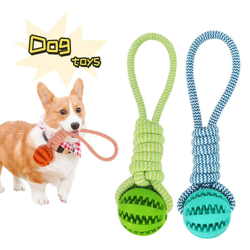 Twist Rope & Chew Dog Toy