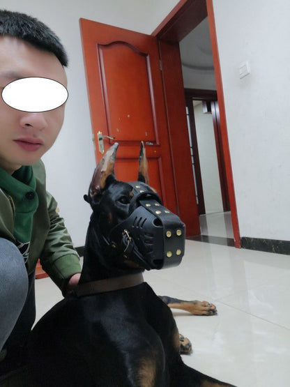 Leather Dog Muzzle Basket