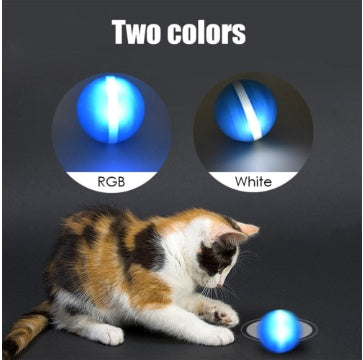 Intelligent Automatic Cat Play Ball