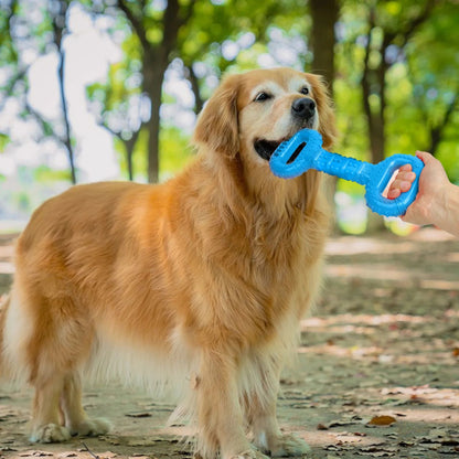 Interactive Pet Chew & Play Toy