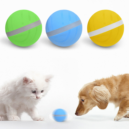 Intelligent Automatic Cat Play Ball