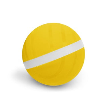 Intelligent Automatic Cat Play Ball