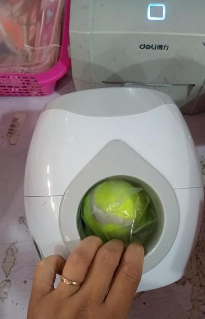 Interactive Dog Ball Reward Trainer Machine