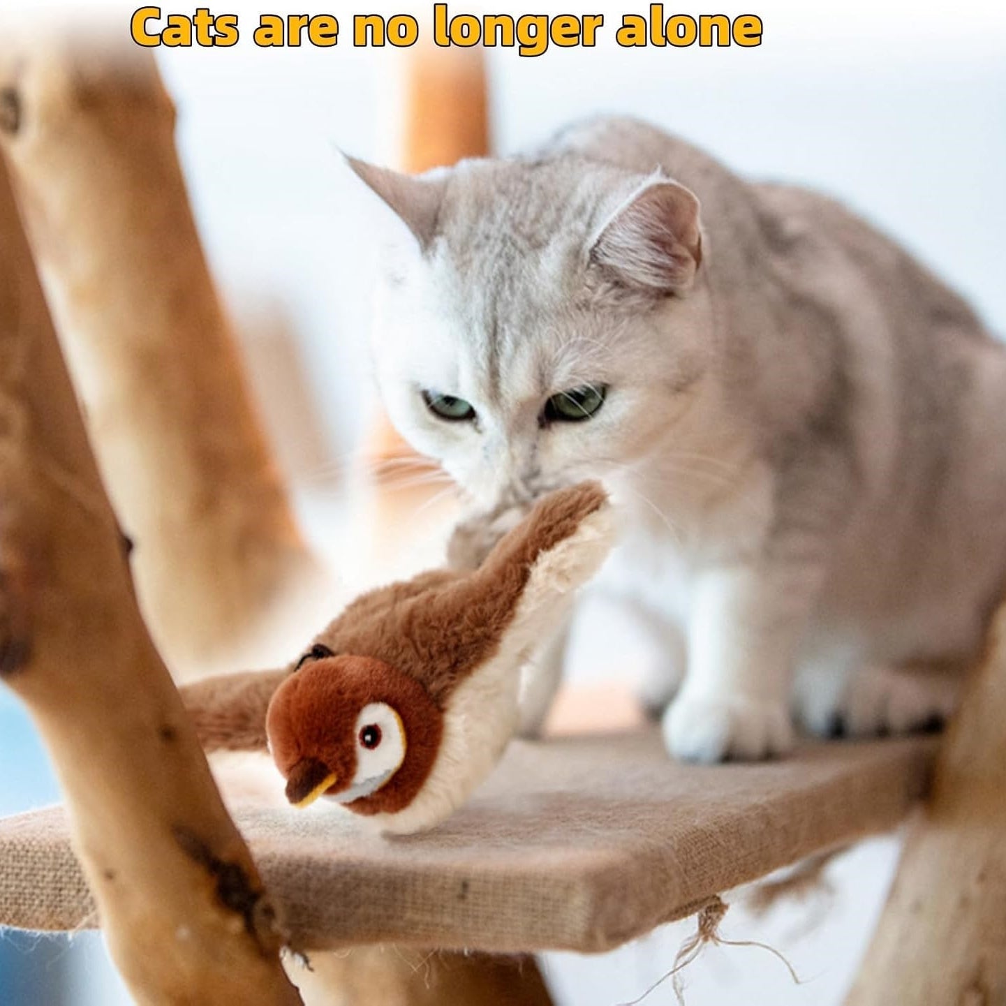 Rechargeable Feather Cat Toy for Indoor Play