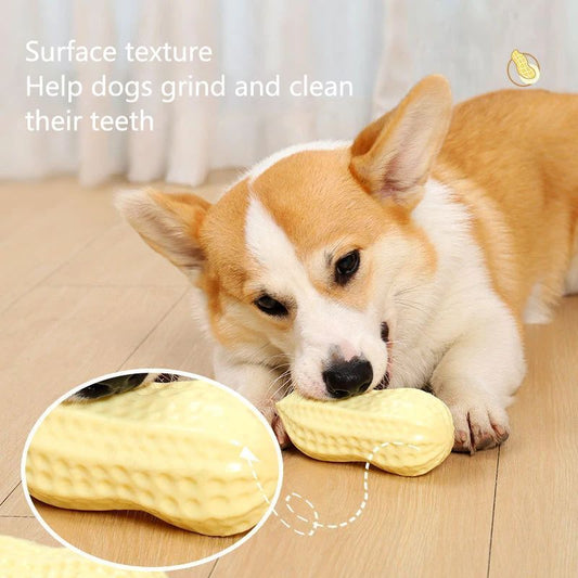 Rubber Squeaky Dog Toy for Small Dogs