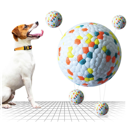 Durable Interactive Chew Dog Ball