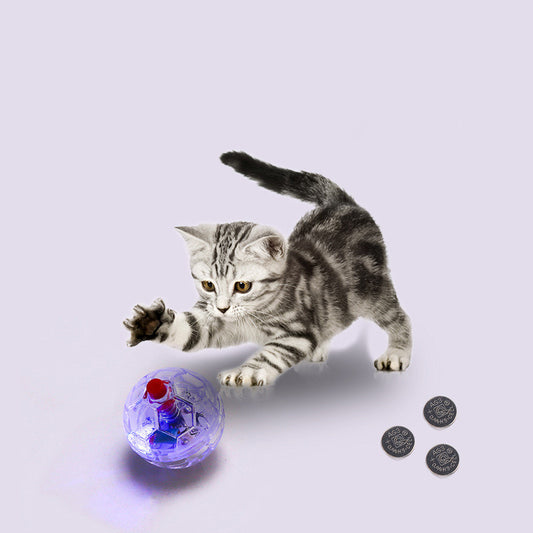 Interactive Glowing Cat Teaser Ball