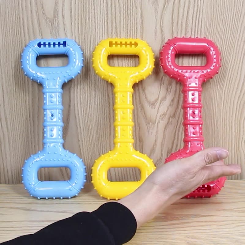 Interactive Pet Chew & Play Toy