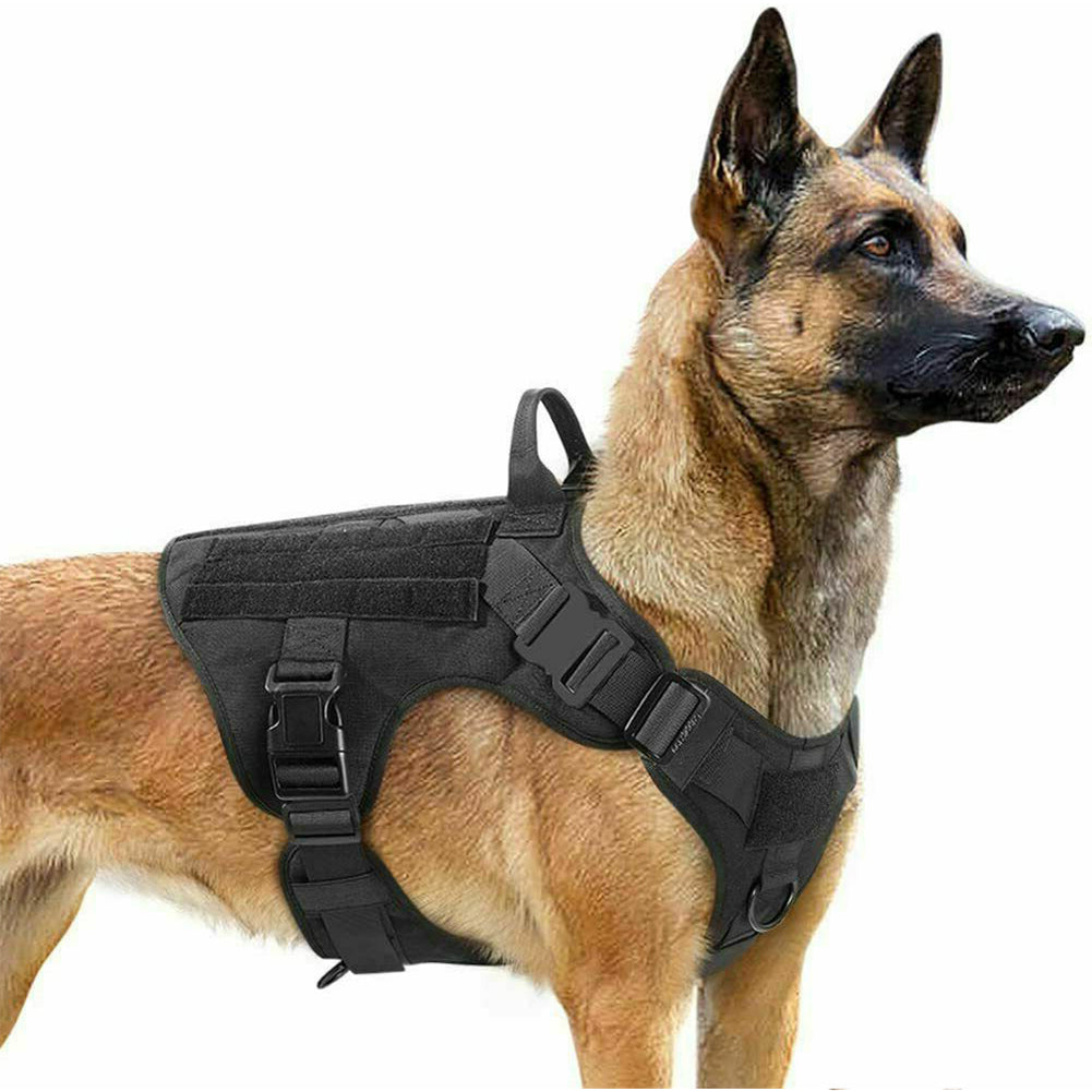 Adjustable & Durable Vest for Training and Walking