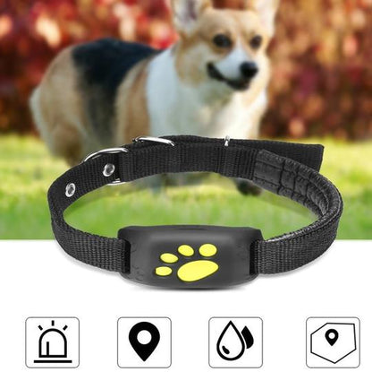 Z8-A Pet GPS Tracker – Real-Time Location & Geofence Alarm
