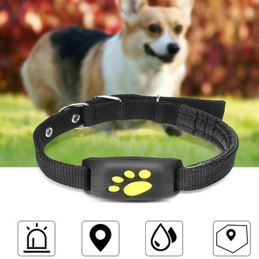 Z8-A Pet GPS Tracker – Real-Time Location & Geofence Alarm