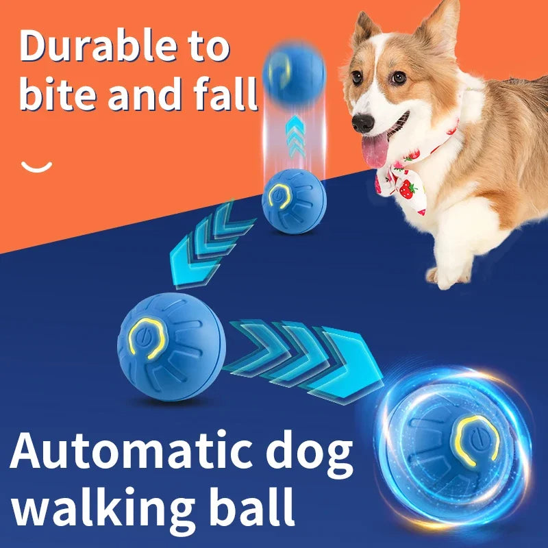 Jump Ball Dog Toy