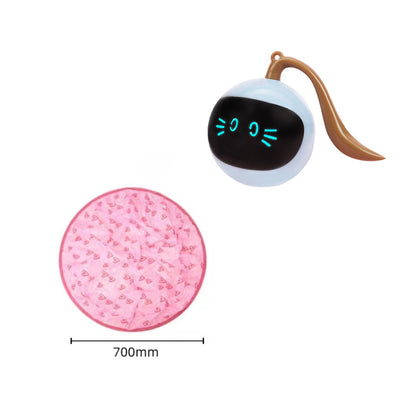 Magic Cat Hunting Ball & Cover