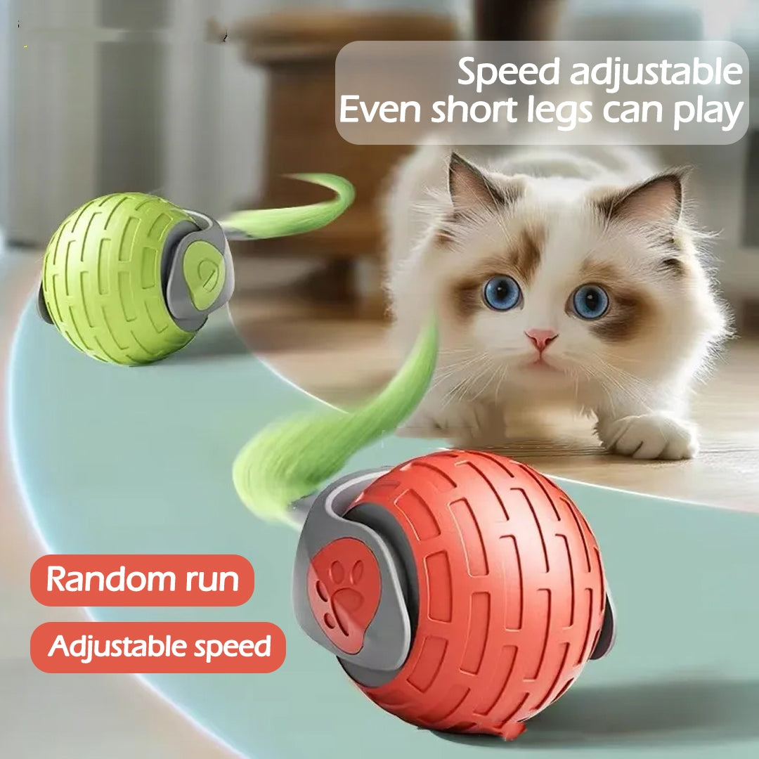 Interactive Electric Rolling Cat Toy Ball – USB Rechargeable