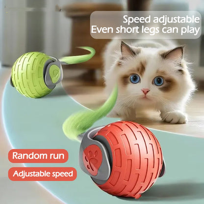 Interactive Electric Rolling Cat Toy Ball – USB Rechargeable