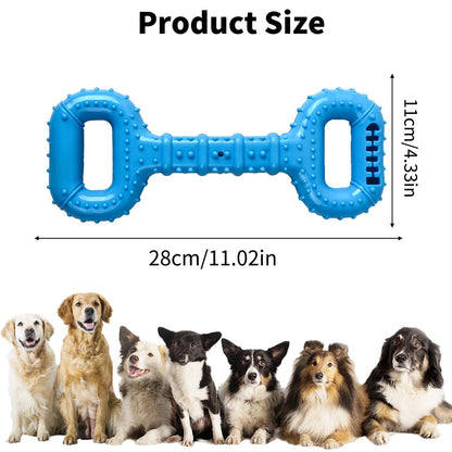 Interactive Pet Chew & Play Toy