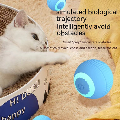 Interactive Silicone Cat Teaser Ball