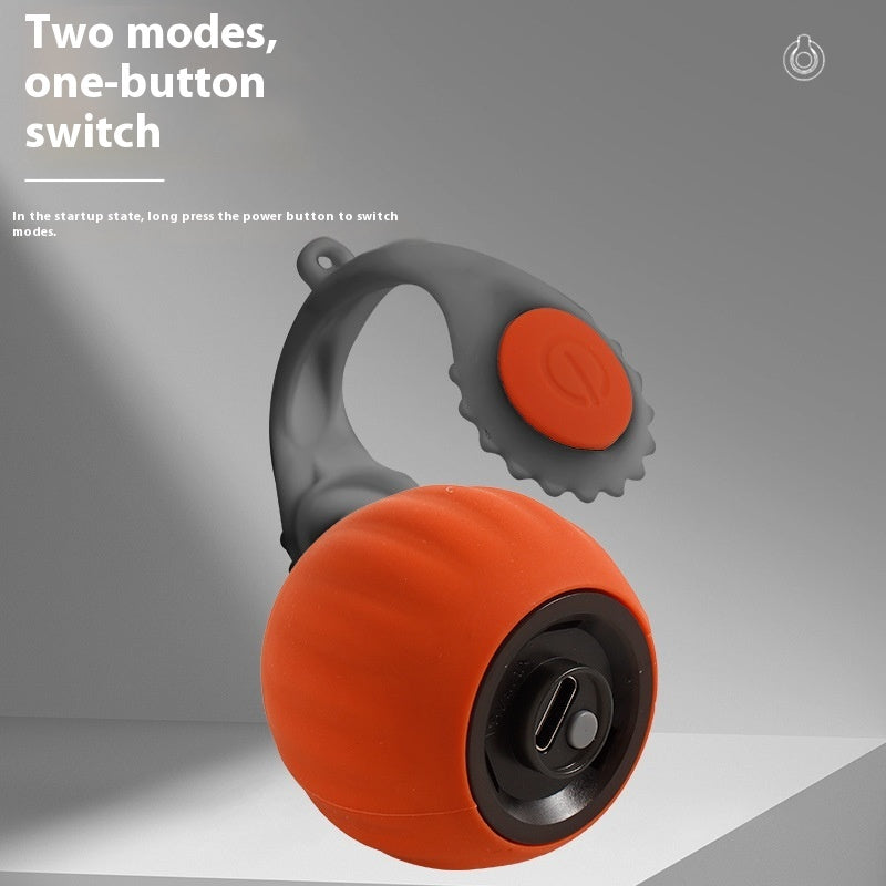 Rechargeable Rolling Ball Dog Toy