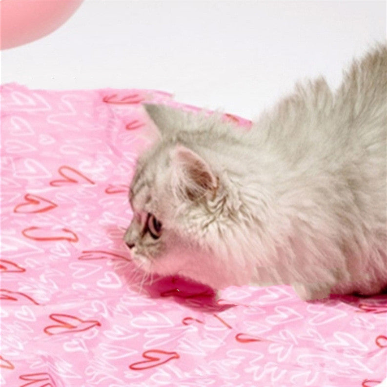 Magic Cat Hunting Ball & Cover