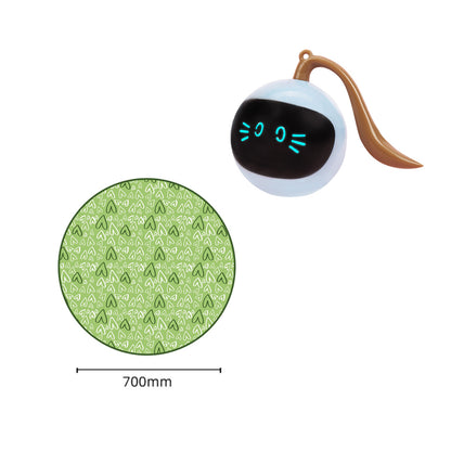 Magic Cat Hunting Ball & Cover