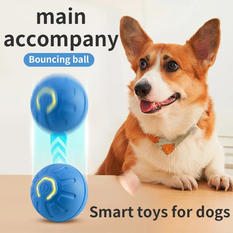 Jump Ball Dog Toy