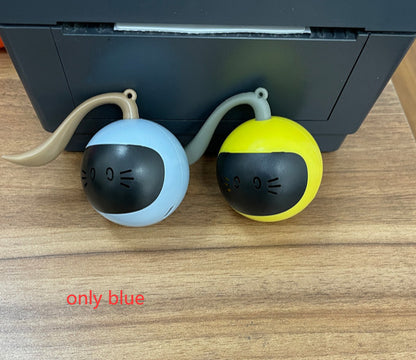 Magic Cat Hunting Ball & Cover