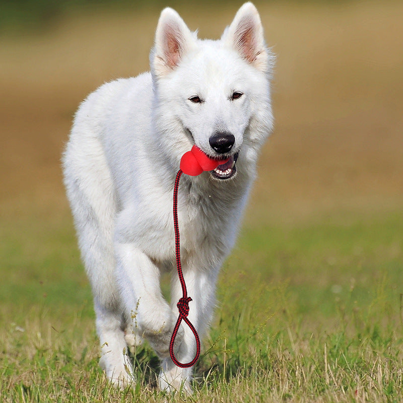 Rubber Dog Chew Toy with Colorful Hair