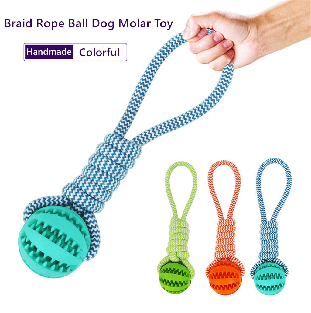 Twist Rope & Chew Dog Toy