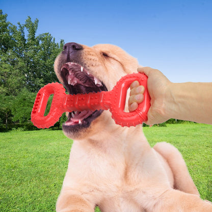 Interactive Pet Chew & Play Toy