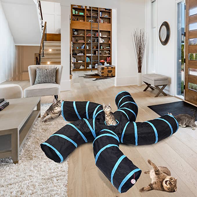 Three-Channel Cat Tunnel