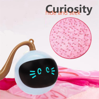 Magic Cat Hunting Ball & Cover