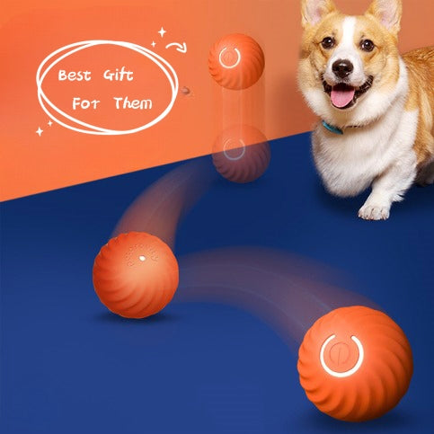 Dog Chew & Training Rubber Ball – Durable Pet Toy