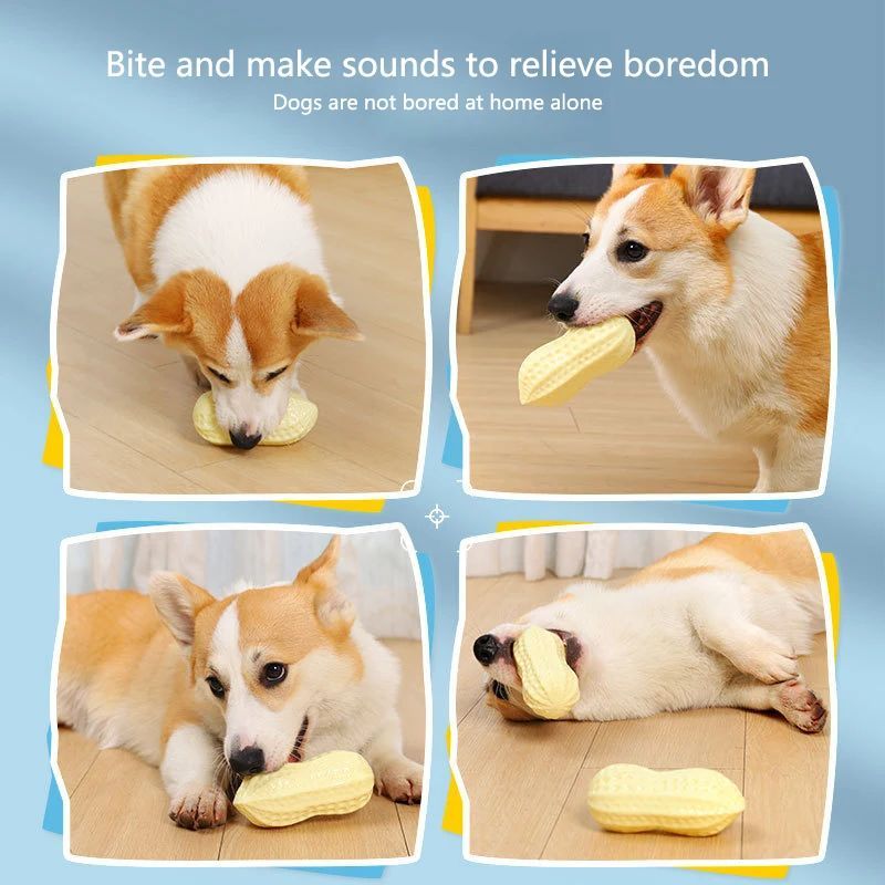 Rubber Squeaky Dog Toy for Small Dogs