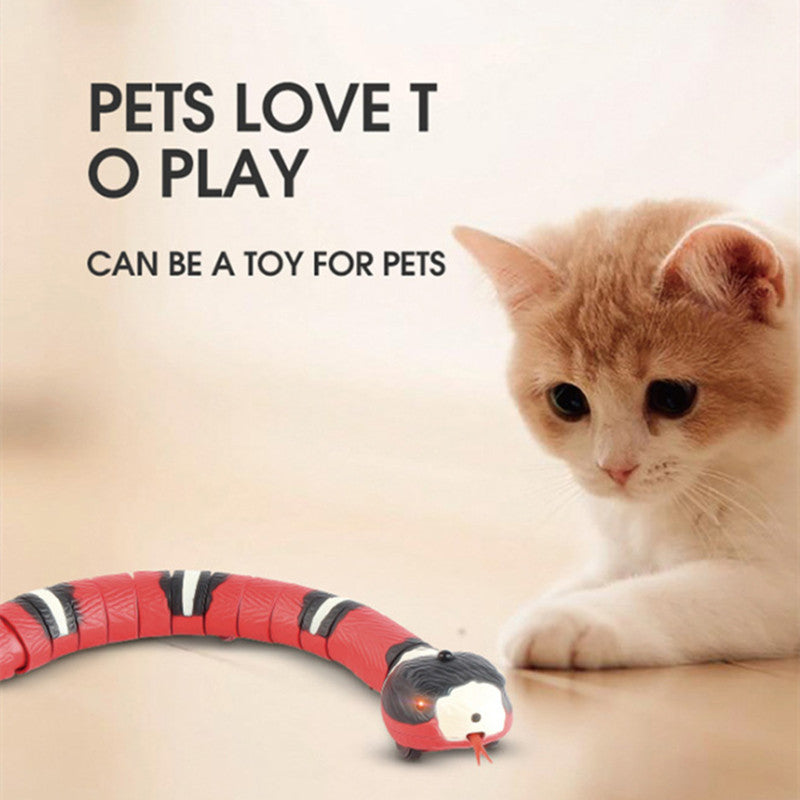 USB Rechargeable Smart Snake Cat Toy