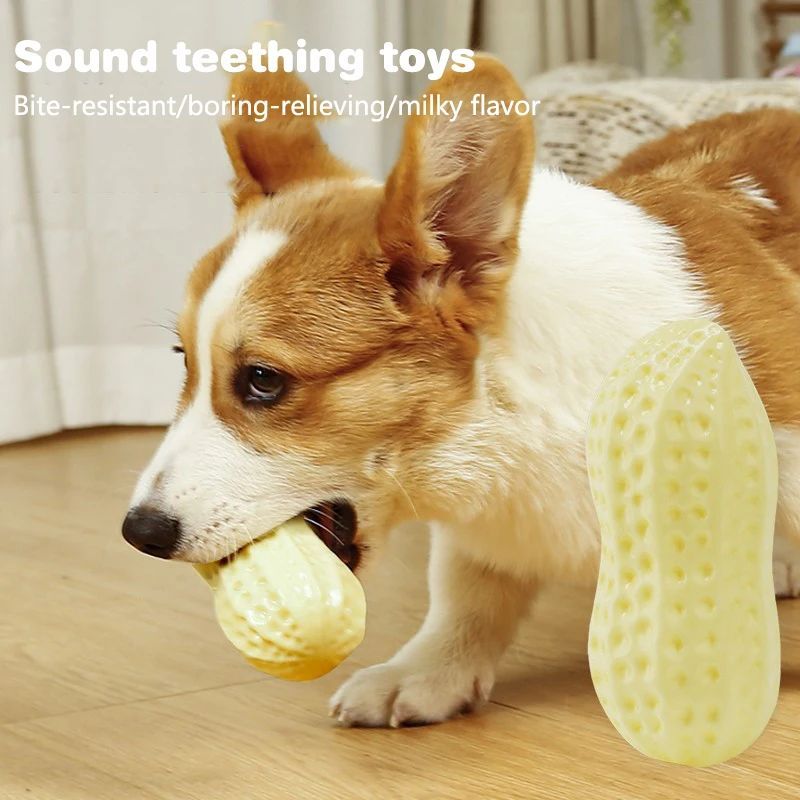 Rubber Squeaky Dog Toy for Small Dogs