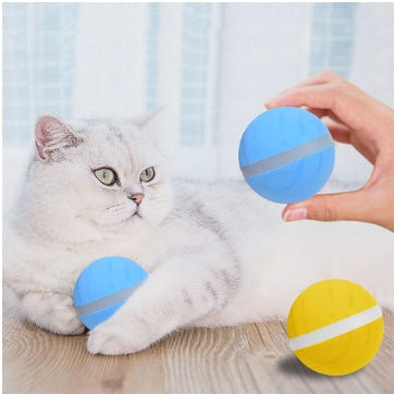 Intelligent Automatic Cat Play Ball