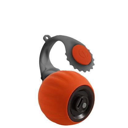 Rechargeable Rolling Ball Dog Toy