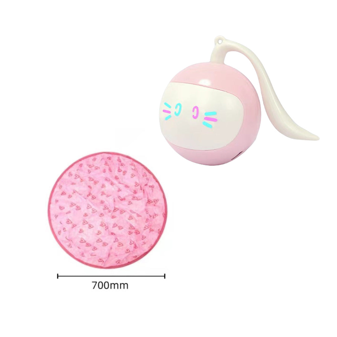 Magic Cat Hunting Ball & Cover