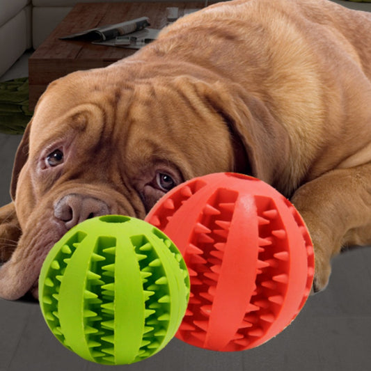 Rubber Watermelon Dog Chew Ball
