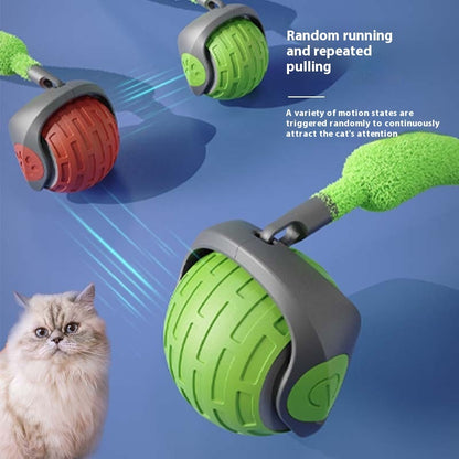 Interactive Electric Rolling Cat Toy Ball – USB Rechargeable