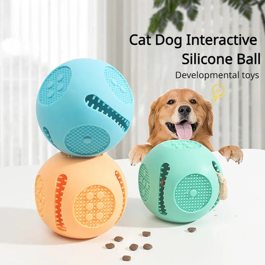 Silicone Dice Pet Toy