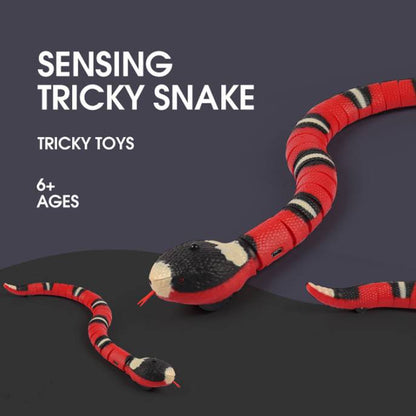 USB Rechargeable Smart Snake Cat Toy