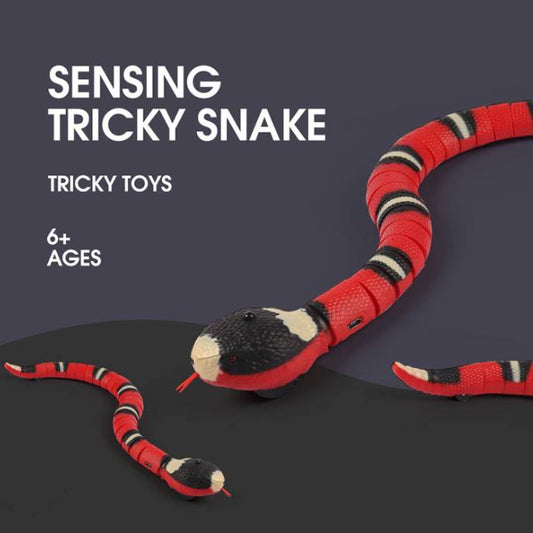 USB Rechargeable Smart Snake Cat Toy