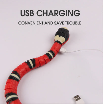 USB Rechargeable Smart Snake Cat Toy