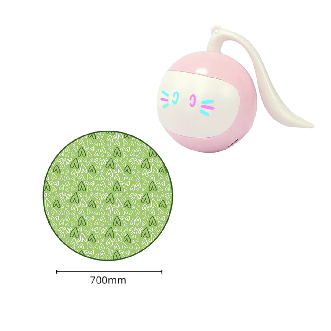 Magic Cat Hunting Ball & Cover