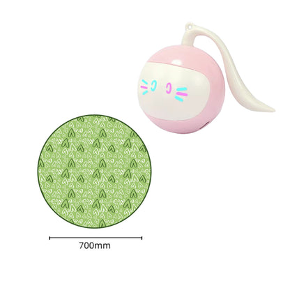 Magic Cat Hunting Ball & Cover