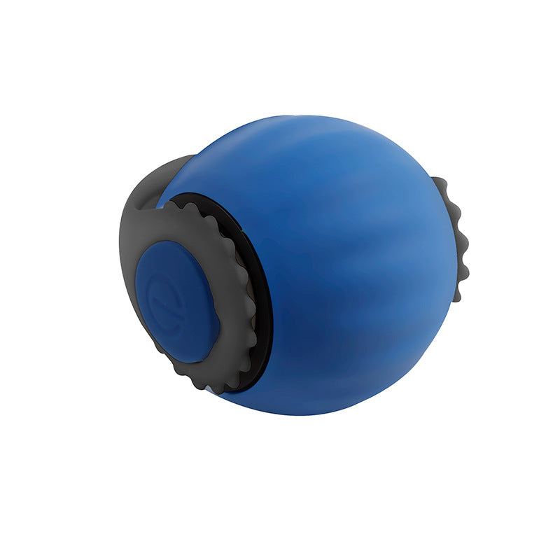Rechargeable Rolling Ball Dog Toy